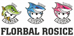 Florbal Rosice